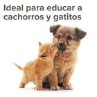 Beaphar Spray anti-urinação para cães e gatos, , large image number null